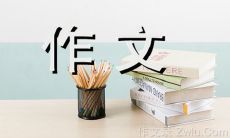 用300字写一篇关于一块石头的作文：探索它的历史、形状、材质和文化背景