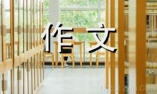 探讨蜡烛在人类历史、文化和生活中所扮演的重要角色：一篇500字的文章