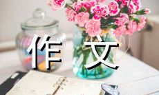 我最喜欢的学生书包——述说600字作文的感受和分享