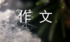 探讨火龙果之美：从颜色到口感，从健康到美容，400字畅谈这种水果的独特魅力
