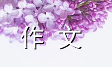 妈妈的围裙：一个关于母爱、家庭和记忆的500字作文