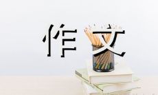 探究新型玻璃的独特创新与应用——一篇500字的综合性作文