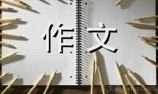 400字作文：探究棉花糖的历史、制作方法及文化意义