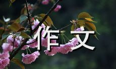 如何用纸张打破时光壁垒：一篇600字的写作指南