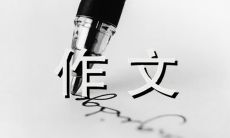 七百字小说：回忆故乡的梧桐树，缅怀往昔岁月峥嵘（或者：七百字长文：怀恋故乡的梧桐树，重温逝去的往昔岁月）