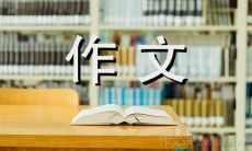 冰糖葫芦的魅力与历史——一篇800字的作文