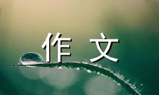 品尝香甜砂糖橘的美妙体验——一篇400字的美食随笔