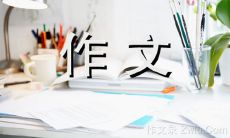 探究书籍的神奇魅力——一篇600字的记叙作文
