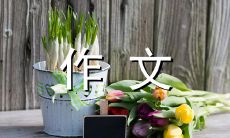 我的母亲送给我的一条珍藏800字初中作文：那条价值连城的项链带给我无尽回忆和感受