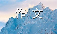 700字长篇作文：探寻我对红薯的钟爱之源及其独特魅力