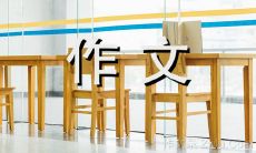 经历过无数个寂静的夜晚，我掏出玩具变形金刚，思绪随之飞扬 - 一篇500字的作文