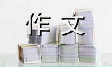 探究油菜花的美丽与文化底蕴：一篇八百字的油菜花作文