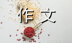 如何反思自我：撞墙也不怕的镜子作文（600字）