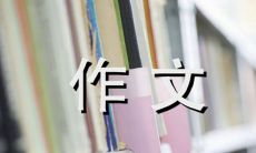 探寻月季之美：一篇400字的作文