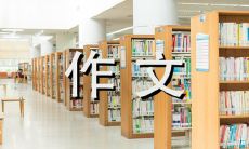 回顾传统玩具的美好——500字作文