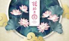 我的难忘中秋节之旅——一篇300字的节日日记文章