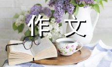 大小贡献的主要来源：探讨学生在其贡献方面谁更卓越的作文