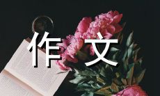 小升初应试怎么办？泡泡大PK小升初作文，来一场亲身体验吧！