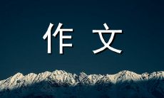 经历与感悟：我与启迪我智慧和品格的恩师——800字初中作文