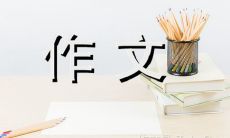 我姐姐的写作天赋：一篇400字的自我探索与成长记录