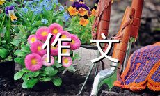 我父亲的生平事迹——一篇五百字的小传作文