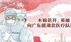 向在抗击疫情中表现出英勇无畏和崇高精神的战疫英雄致敬，一篇250字的感言