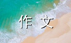 我所珍爱的——我傻瓜妈妈：一篇600字的作文