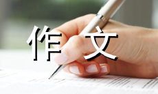 如何完整清晰的撰写自我介绍作文？——一篇450字的写作指南