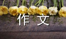 向无私的消防英雄们致以崇高敬意的感恩作文 - 600字