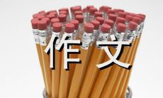 我最仰慕的学者爱因斯坦——一个令人敬仰的物理学家和人道主义者：800字的个人作文