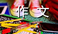 我对数学老师的教诲与启迪：一篇600字的感恩作文