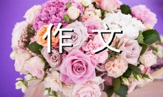 初中生写作：探索我对偶像曹操的爱与敬佩之情