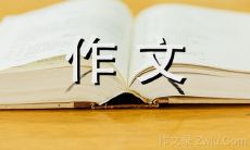 母子俩在公交车上的经历：一段感人至深的600字作文