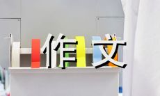 我最敬爱的奶奶——回忆一位英勇坚强的老人的生活故事和深刻启示的感人作文