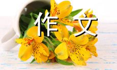 800字作文：探讨我最喜欢的冬奥运动员及其影响力和成就