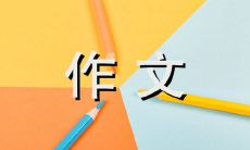 谈论我的班主任的经历和观察 - 一篇 600 字长的作文