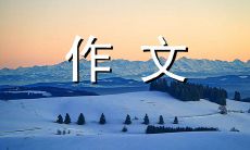 与自己的偶像相遇：我的心路历程和热情洋溢的800字作文