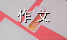 探寻心中英雄：600字作文