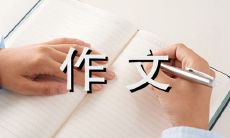 秋日的落叶景色，以800字之笔细腻描绘出来的作文