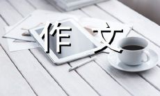 拥有具备判断能力的双眼，比任何技能更关键