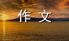 外婆的故事：一个八百字的初中作文，记录了我与外婆之间的深情回忆与珍贵经历